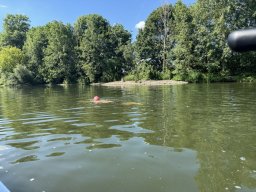 Mainschwimmen Juni 2026